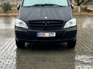 Mercedes Viano foto 6