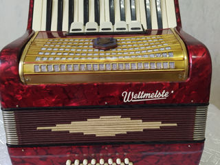 Weltmeister şi Hohner Festival 48 başi