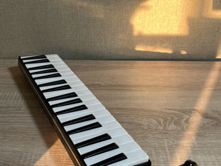 Hohner Melodica Piano 36 foto 2