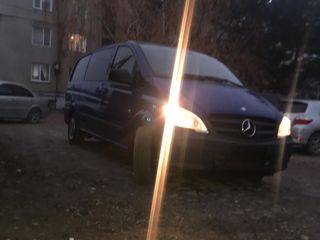 Mercedes Viano foto 7