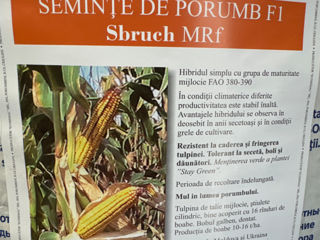 Reducere% porumb-458,Nicomez-Duo,milagro plus, stilar , Elumis,Masterpower. foto 5