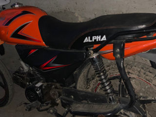 Alpha Moto