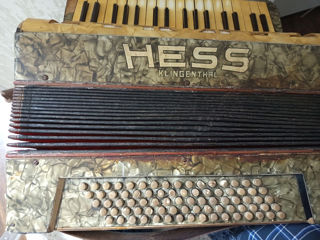 Acordeon HESS