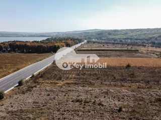 Teren cu destinație agricolă, 60 ari, Cojușna 81 000 € foto 3