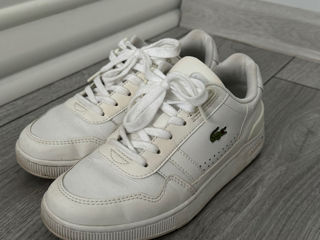 Ghete Lacoste  foto 1
