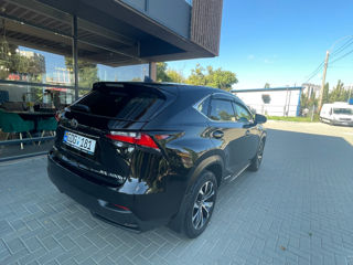 Lexus NX Series foto 10