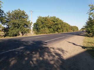 Teren pentru constructie 7 ari la traseu, prima linie. Drumul R2 Chișinău-Tiraspol foto 2