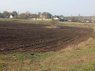 Cumpăr terenuri/ cote agricole foto 1