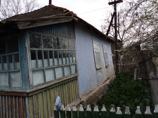 Casa la Nistru.Speia, Anenii Noi foto 7