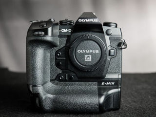 Olympus EM1x perfect