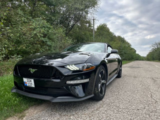 Ford Mustang foto 3