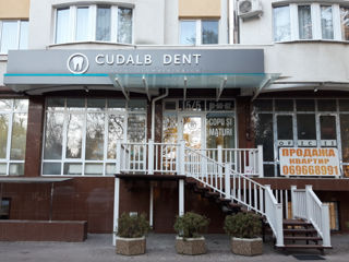 CudalbDent