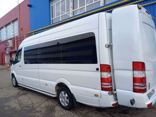 Mercedes sprinter delfin