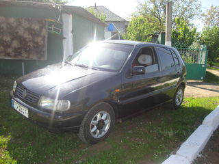 Volkswagen Polo foto 2