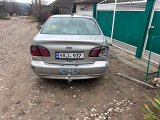 Nissan Primera foto 6