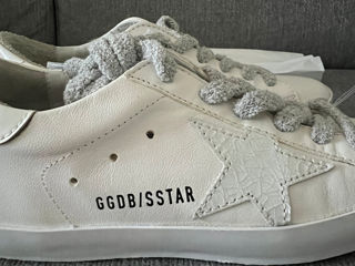 Golden goose foto 5