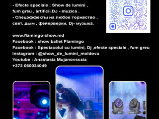 Show de lumini din SUA!  Профессиональное световое шоу с США. foto 8