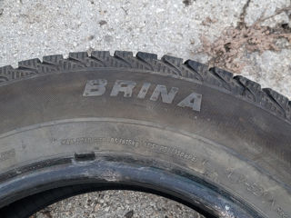 Шины 195/65 R15 Зима 2020год foto 7