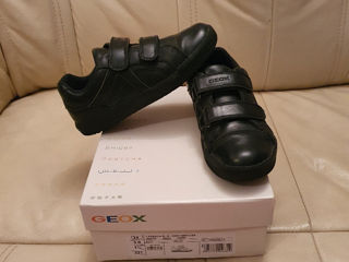 Pantofi Geox m.34