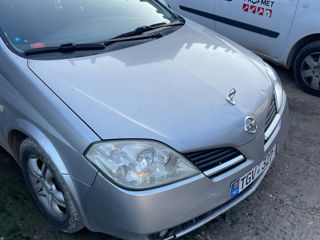 Nissan Primera foto 2