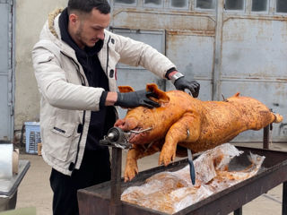 Servicii catering            purceluș la rotișor