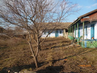 Urgent vand casa batrineasca in s.Zaim r.Causeni. foto 2