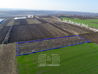 Se vinde Teren agricol în Bacioi, 2ha foto 2