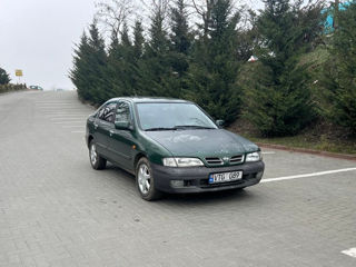 Nissan Primera foto 2