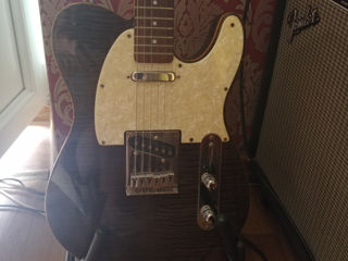 Michael Kelly telecaster foto 2