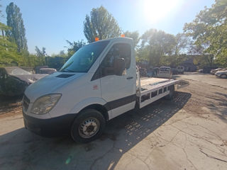 serviciiconstructii