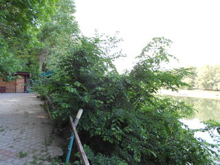 парк Вадул-луй-Водэ, Первая линия, свой берег, кап строение. foto 5