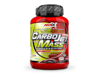 Гейнер для набора мышечной массы  AMIX CARBOJET MASS PROFESSIONAL