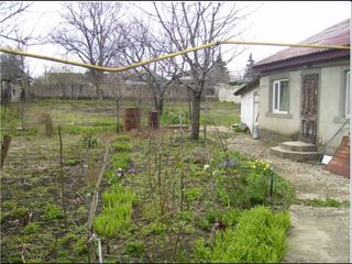 Se vinde casa in Cricova ,11/sote de pamint privatizat 35000/eurо! foto 3
