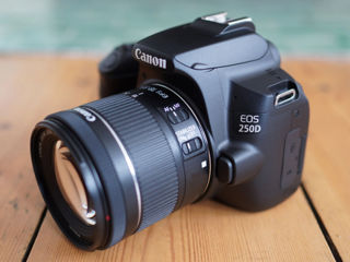 Canon 250D + EF-S 18-55 IS STM