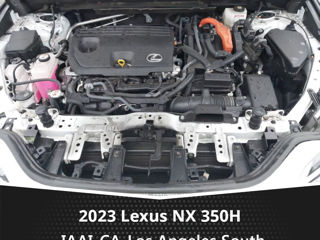 Lexus NX Series foto 8