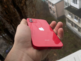 iPhone 12 Product Red