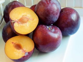 Pomi fructiferi - prun Stanley , Top - Hit ,  Agelino, Ciornîi Prinț , Piteșteanu , Blue Free foto 6
