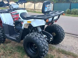 Kayo Bravos ATV