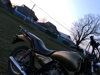 Wolf Motors