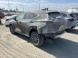 Lexus NX Series foto 4