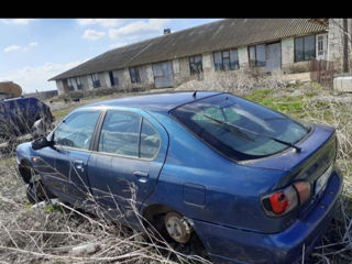 Nissan Primera foto 10