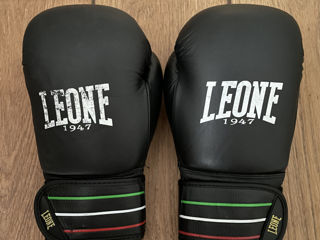 Manusi Box Leone