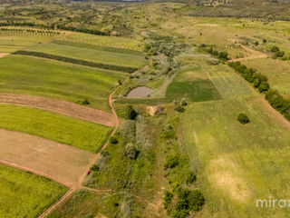 Se vinde afacere activă în s. Dolna, Strășeni, Chișinău foto 17