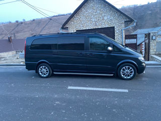 Mercedes Viano foto 6