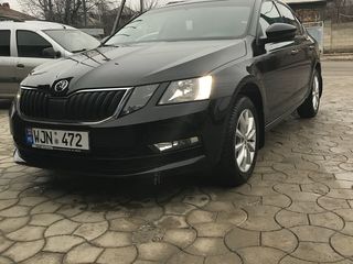 Аренда авто Кишинёв по самым низким ценам в Молдове