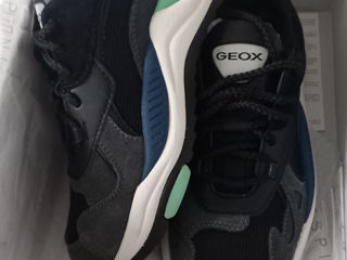 Geox noi