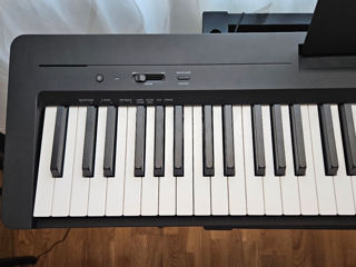 Yamaha P-145 + stand