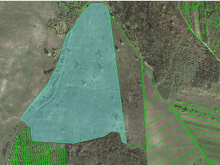 teren agricol (6,777ha), satul Hoginesti, r. Călărași