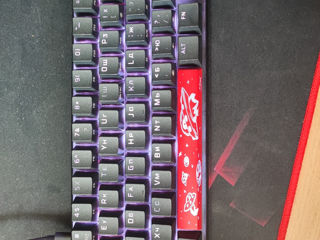 HyperX alloy origins 65 TKL foto 2