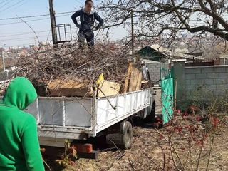 Evacuăm orice tipuri de gunoi. Hamali + Bobcat. foto 16